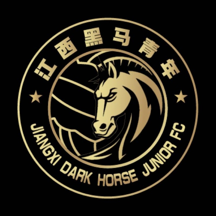  官方：江西黑馬青年完成異地遷移程序，更名為溫州職業(yè)足球俱樂(lè)部
